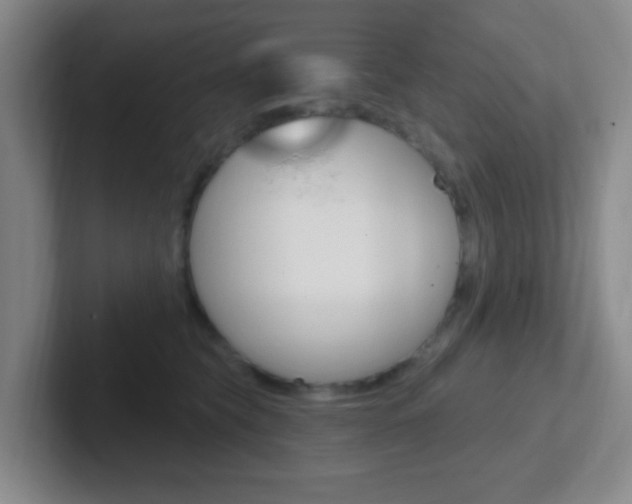 X0000102310565200807251043