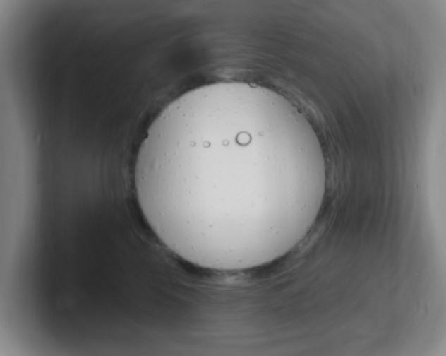 X0000102310569200807251043
