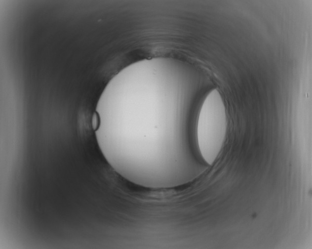 X0000102310571200807251043