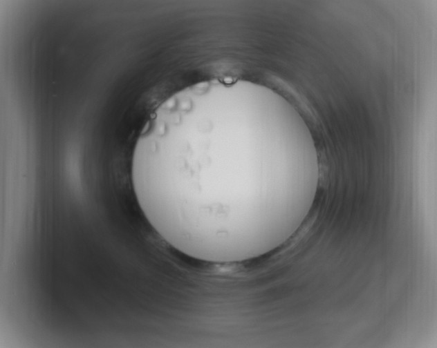 X0000102310573200807251043