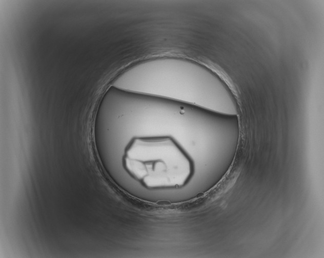 X0000102310577200807251043