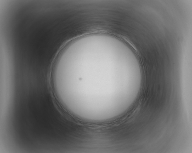 X0000102310579200807251043