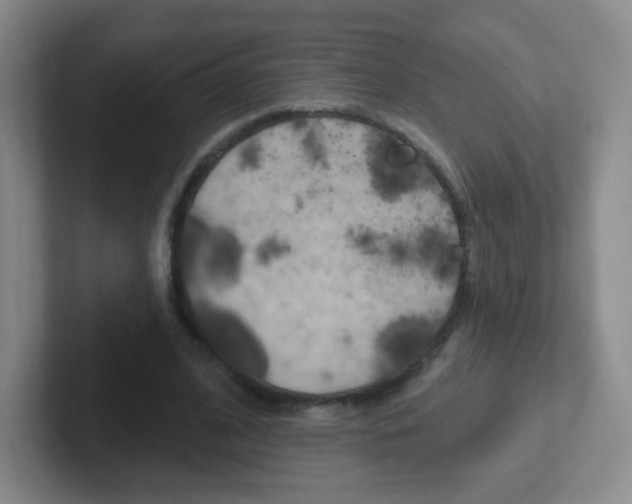 X0000102310584200807251043