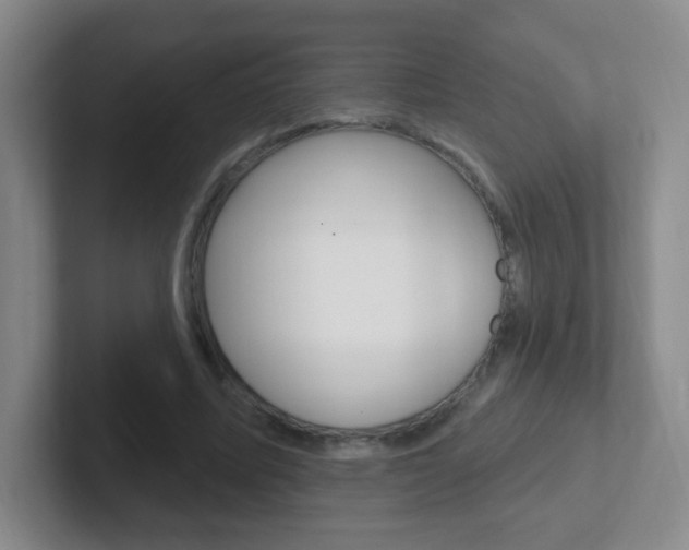 X0000102310587200807251043