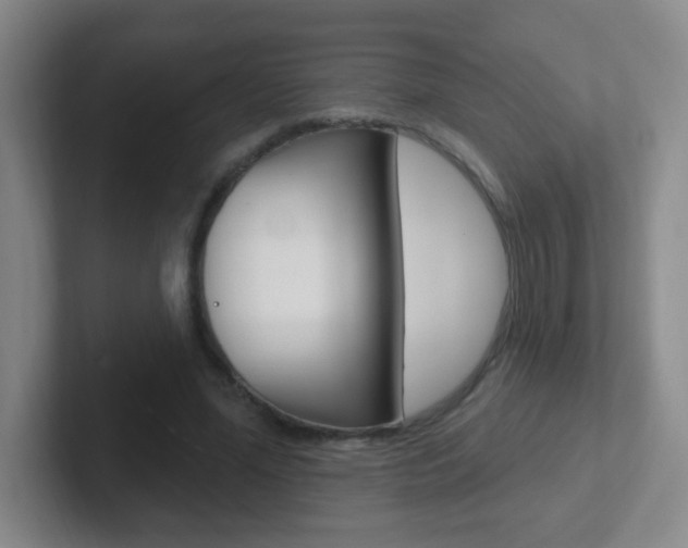 X0000102310588200807251043