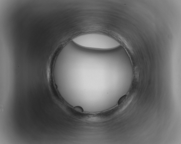 X0000102310589200807251043