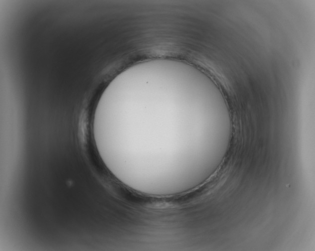 X0000102310590200807251043