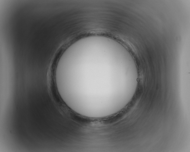 X0000102310591200807251043