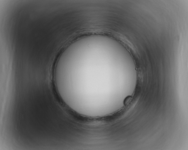 X0000102310593200807251043