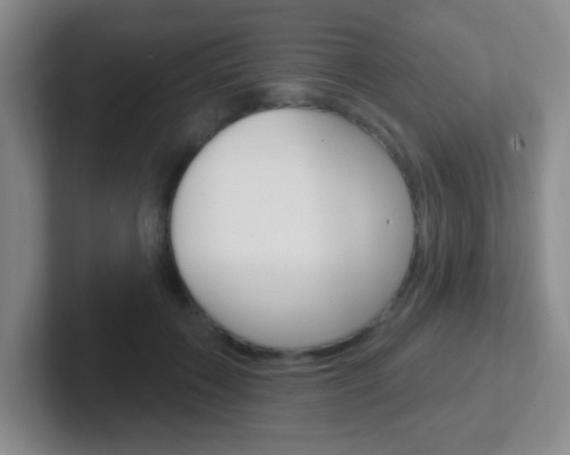 X0000102310603200807251043