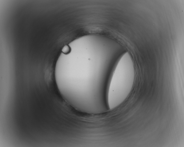 X0000102310604200807251043