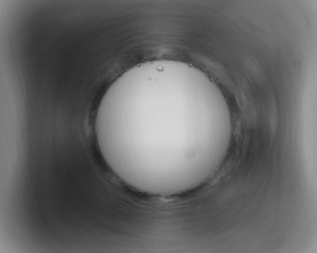 X0000102310607200807251042