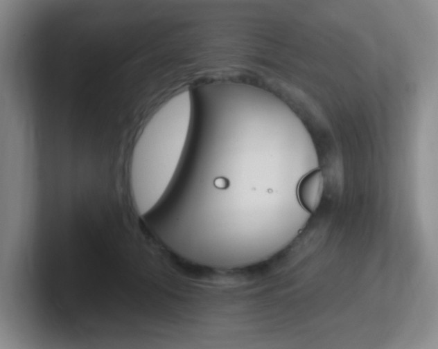 X0000102310608200807251042