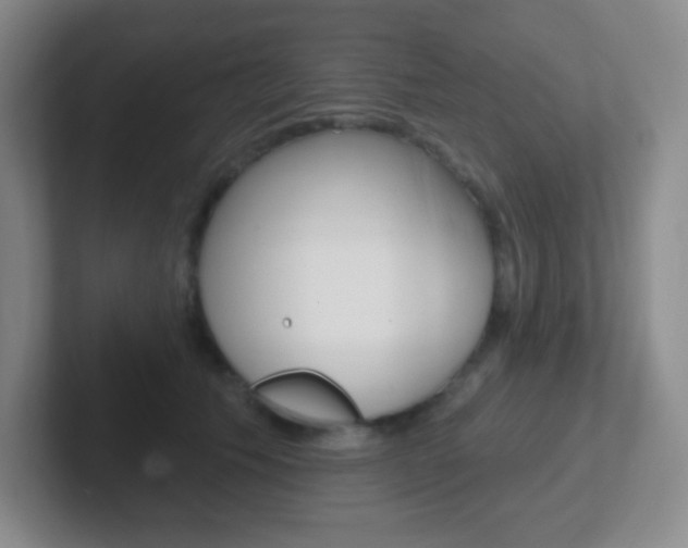 X0000102310609200807251042