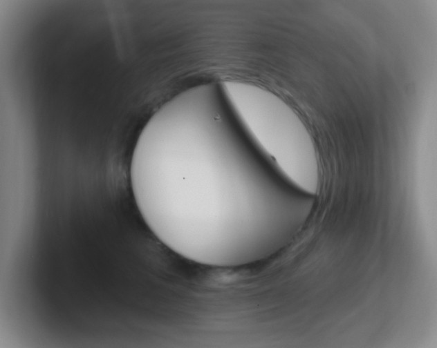 X0000102310613200807251042