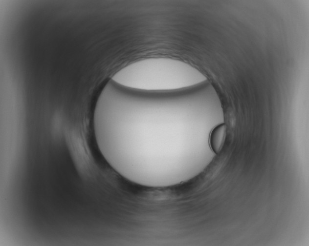 X0000102310615200807251042