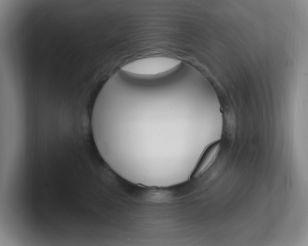 X0000102310617200807251042