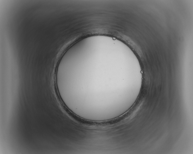X0000102310625200807251042