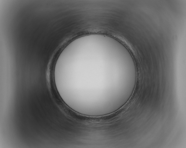 X0000102310626200807251042