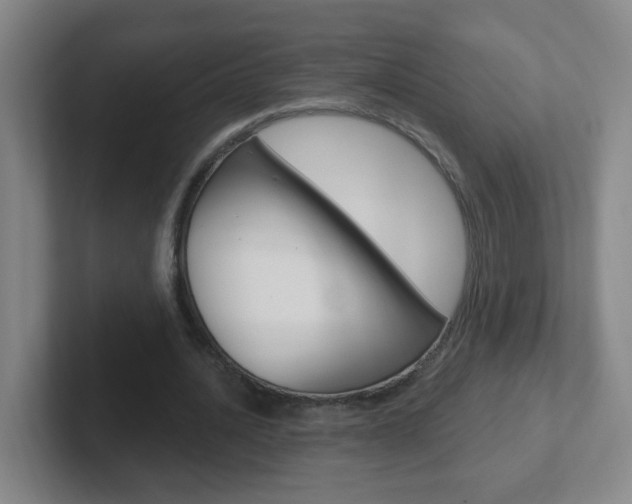 X0000102310628200807251042