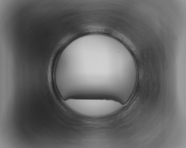 X0000102310629200807251042