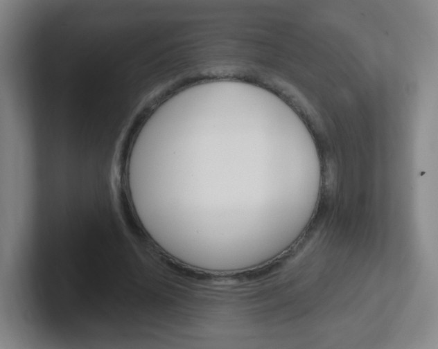 X0000102310636200807251042
