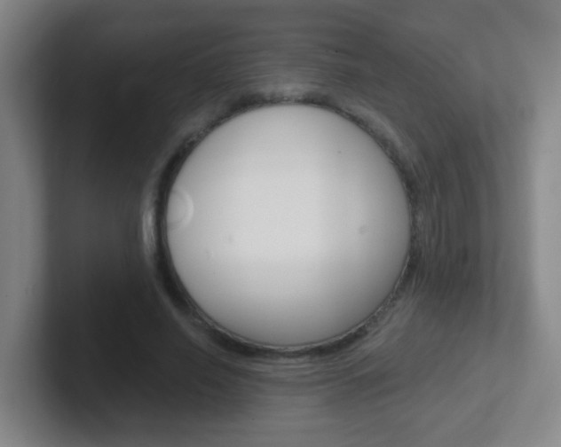 X0000102310638200807251042