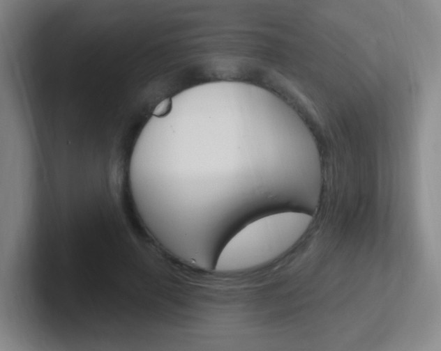 X0000102310645200807251042