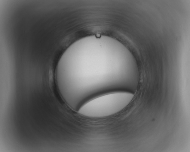 X0000102310646200807251042