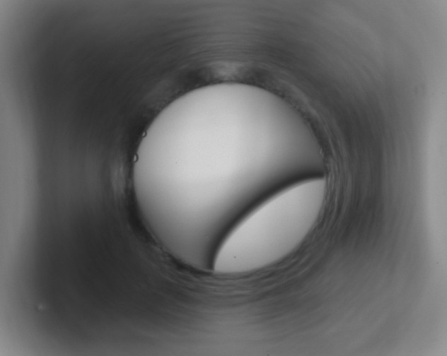 X0000102310651200807251042