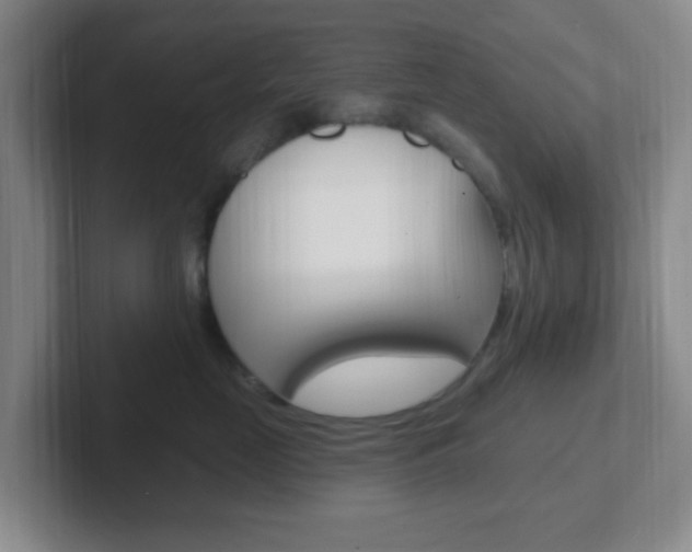X0000102310669200807251042