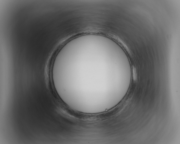 X0000102310675200807251042