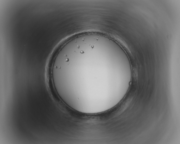 X0000102310676200807251042