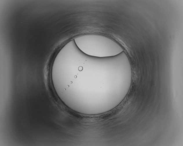 X0000102310679200807251042