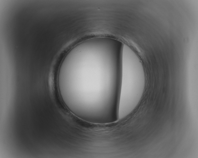 X0000102310684200807251041