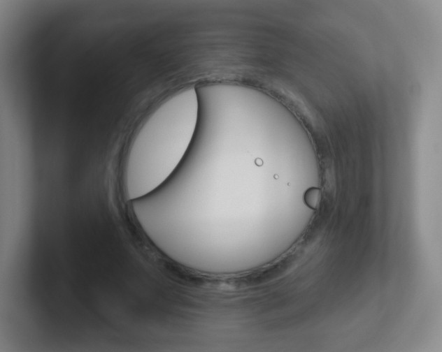 X0000102310687200807251041