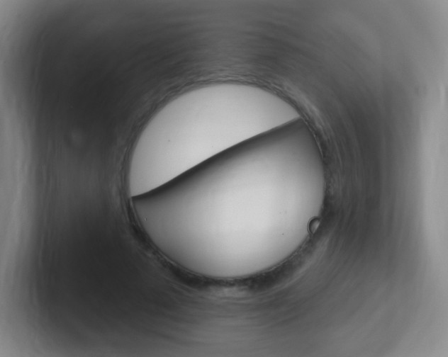 X0000102310689200807251041