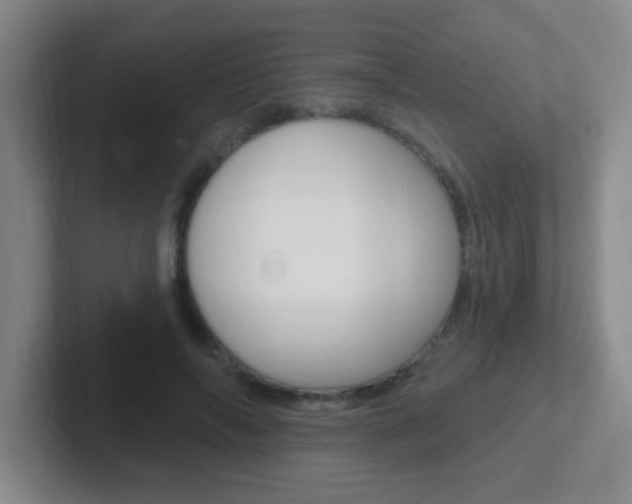 X0000102310694200807251041