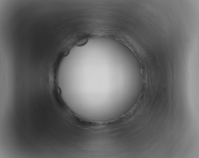 X0000102310696200807251041