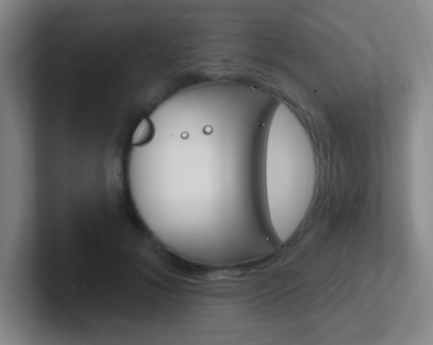 X0000102310700200807251041