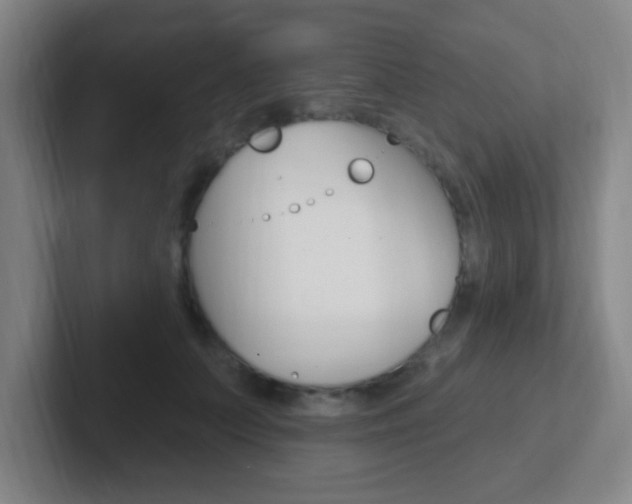 X0000102310703200807251041