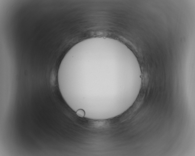 X0000102310709200807251041