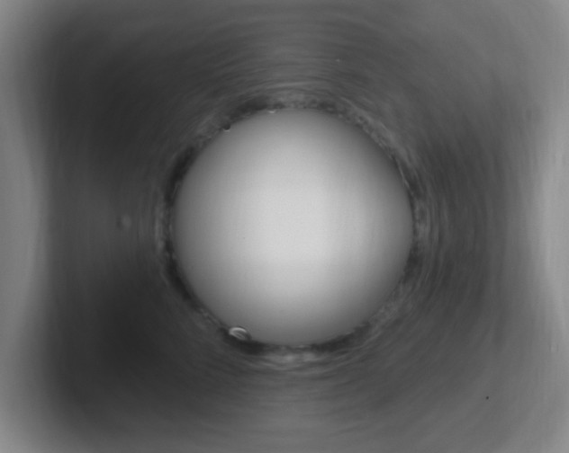 X0000102310712200807251041