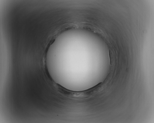 X0000102310720200807251041