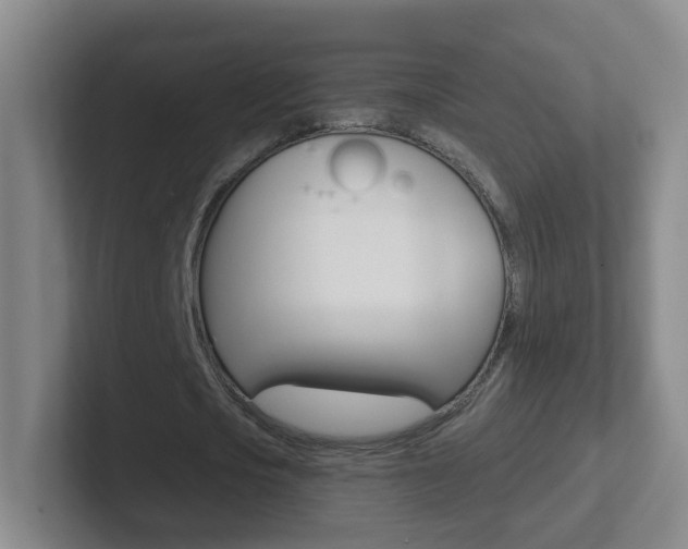 X0000102310721200807251040