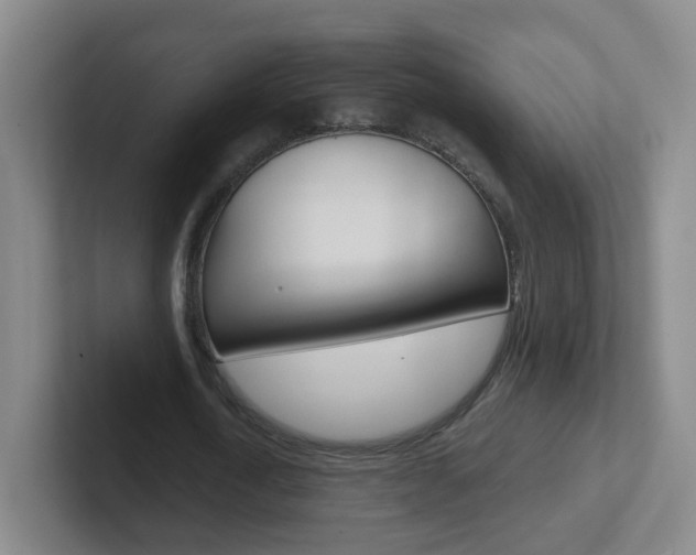 X0000102310722200807251040