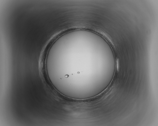 X0000102310723200807251040