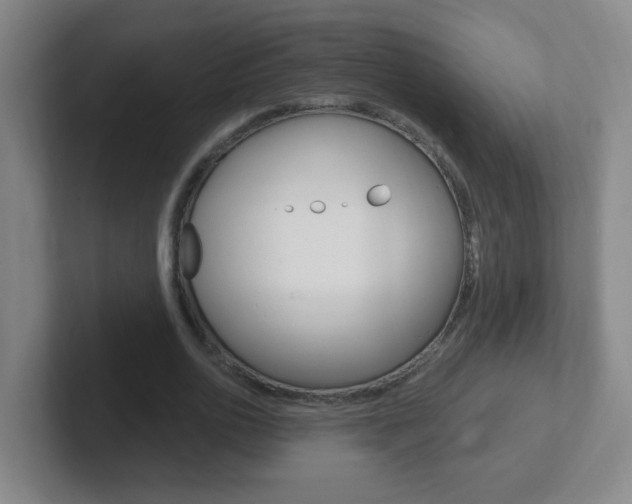 X0000102310726200807251040