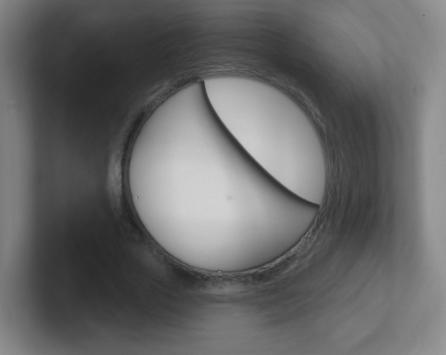 X0000102310729200807251040