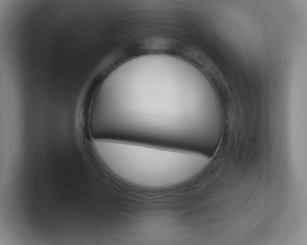 X0000102310731200807251041